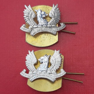 The Ayrshire Yeomanry - Gold & Silver Anodised Collar Badges.