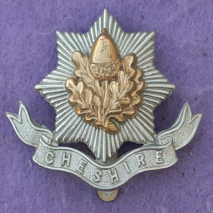 Bi-Metal Cap Badge - The Cheshire Regiment