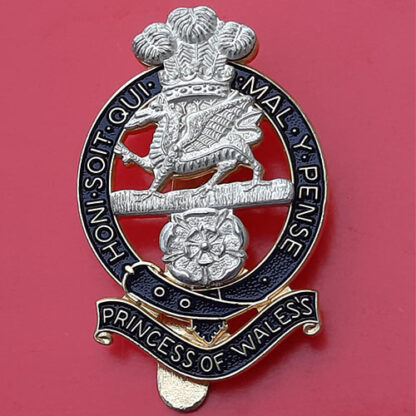 The Princess Of Wales' Royal Regiment - SNCO's Silver & Gilt Cap Badge