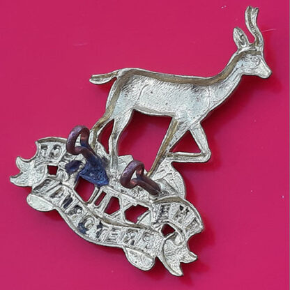 (South Africa) The Pretoria Regiment - Gilding Metal Cap Badge - Image 2