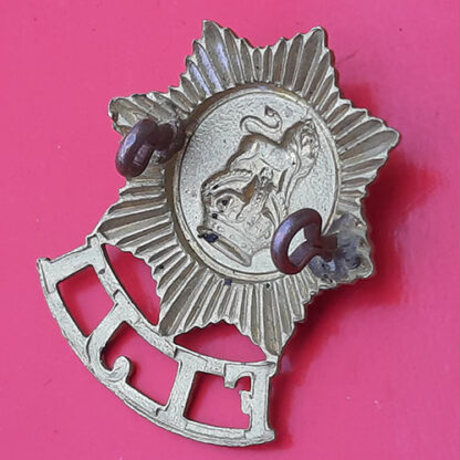 The Fiji Defence Force - King's Crown Gilding Metal Cap Badge - Image 2