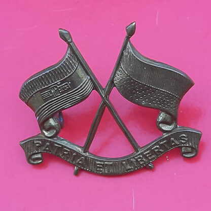 (South Africa) The Light Horse Regiment - Gilding Metal Cap Badge