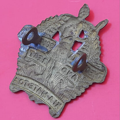 (New Zealand) The Otago & Southland Regiment - Gilding Metal Collar Badge - Image 2