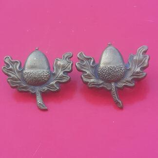 The Cheshire Regiment - Gilding Metal Collar Badges