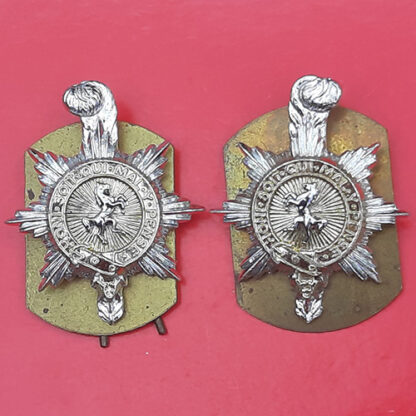 The Princess Of Wales's Royal Regiment - Gold & Silver Anodised Collar Badges