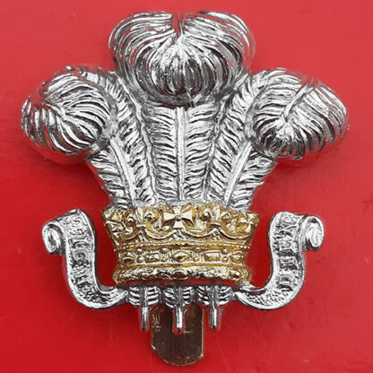 The Wiltshire Yeomanry - Gold And Silver Anodised Cap Badge