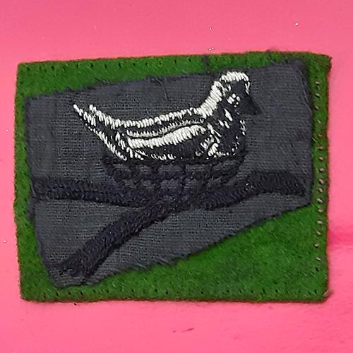 Northern Ireland District - Woven Cloth Formation Badge - Image 2