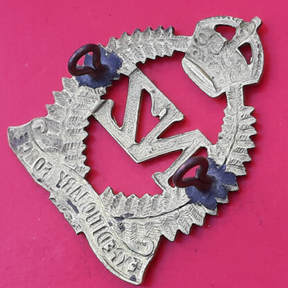 (New Zealand) The 1st New Zealand Expeditionary Force - King's Crown Gilding Metal Cap Badge - Image 2