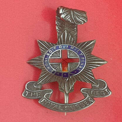 The Royal Sussex Regiment - Officer's Silver Gilt & Enamel Cap Badge