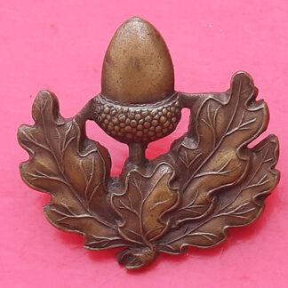 The Cheshire Regiment - Officer's Bronze Service Dress Collar Badge