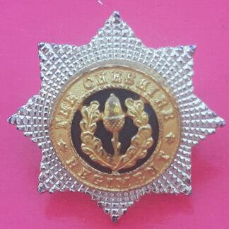 Cheshire Regiment - Officer's Silver & Gilt Cap Badge