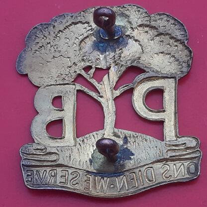(South Africa) Pioneer Battalion - Gilding Metal Cap Badge - Image 2