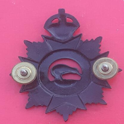 (New Zealand) Permanent Staff - King's Crown Bronzed Cap Badge - Image 2