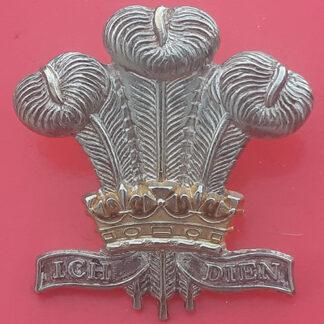 Royal Regiment Of Wales - Officer's Bi-Metal Cap Badge