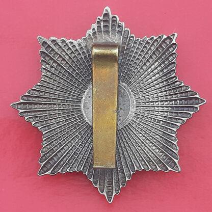 (Canada) The Royal Canadian Regiment - Bi-Metal Cap Badge - Image 2