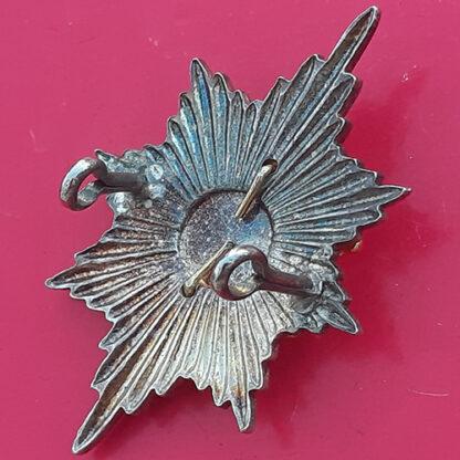 The Worcestershire & Sherwood Foresters - Bi-Metal Cap Badge - Image 2