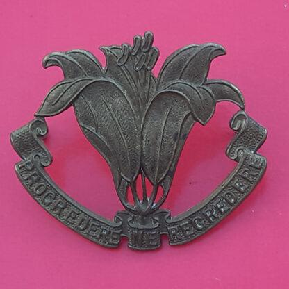 (Canada) The Assiniboia Regiment - Gilding Metal Cap Badge