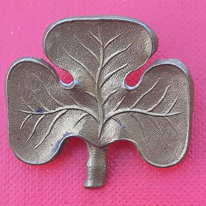 The Irish Guards - Large Pattern Gilding Metal Collar Badge.