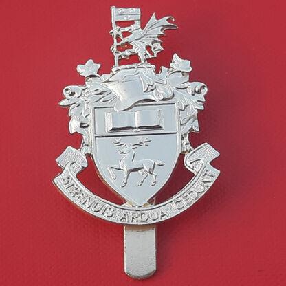 Southampton University O.T.C - Gold Anodised Cap Badge.