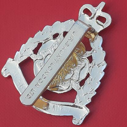 Hampshire & Isle Of Wight Rifles - Queen's Crown Gold & Silver Anodised Cap Badge. - Image 2