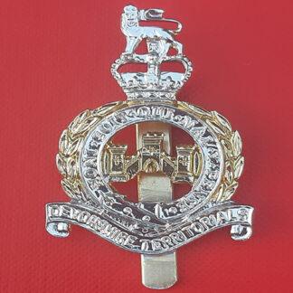 The Devonshire Territorials - Queen's Crown Gold & Silver Anodised Cap Badge.