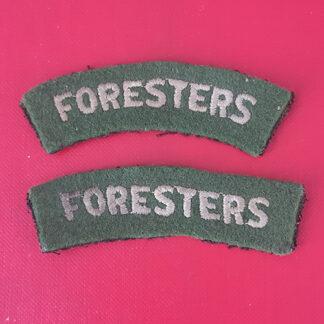 The Sherwood Foresters (Notts & Derby) - Cloth Woven Shoulder Titles.