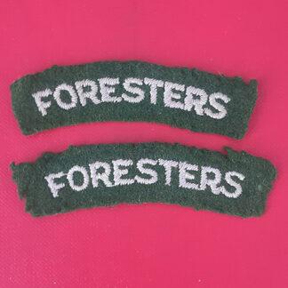 The Sherwood Foresters (Notts & Derby) - Cloth Woven Shoulder Titles.