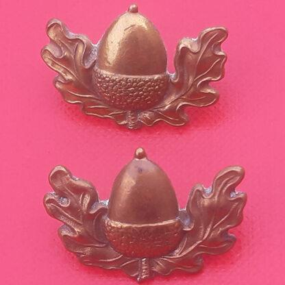 The Cheshire Regiment - Gilding Metal Collar Badges.