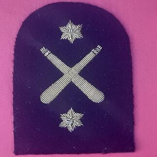 Royal  Marines Physical Training Instructor 2nd Class - Gold Wire Bullion on Navy Blue Specialist Qualification Badge.