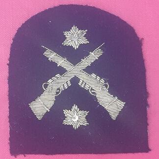 Royal Marines Platoon Weapons Instructors 2nd Class  - Gold Wire Bullion On Navy Blue Specialist Qualification Badge.