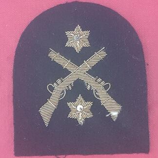 Royal Marines Platoon Weapons Instructors 2nd Class  - Gold Wire Bullion On Lovat Green Specialist Qualification Badge.