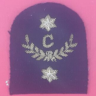 Royal Marines Clerk 2nd Class - Gold Wire Bullion On Navy Blue Specialist Qualification Badge.