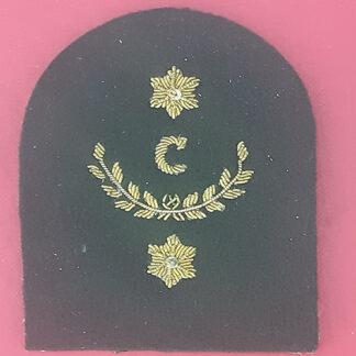 Royal Marines Clerk 2nd Class - Gold Wire Bullion On Lovat Green Specialist Qualification Badge.