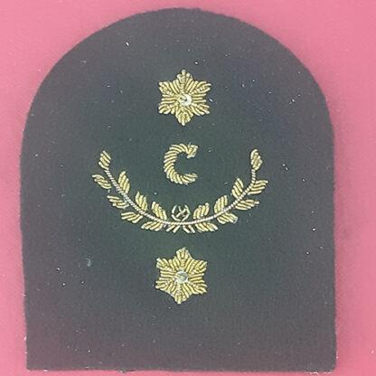 Royal Marines Clerk 2nd Class - Gold Wire Bullion On Lovat Green Specialist Qualification Badge.