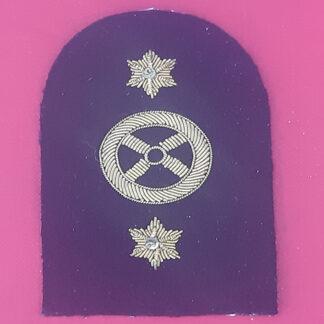 Royal Marines Transport 2nd Class - Gold Wire Bullion On Navy Blue Specialist Qualification Badge.