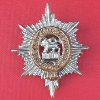 The Worcestershire Regiment - Bi Metal Cap Badge.