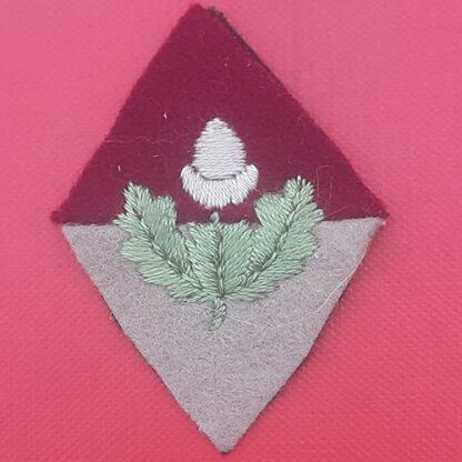 The Cheshire Cadet Force - Woven Cloth Formation Badge.