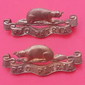(Canada) The Royal Canadian Regiment - Gilding Metal Collar Badges.