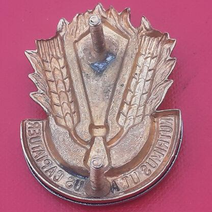 (South Africa) South Africa Catering Corps - Bi Metal Cap Badge. - Image 2