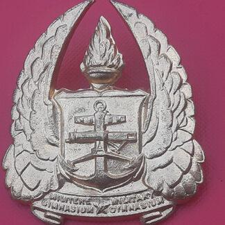 (South Africa) South Africa Army Gymnasium - Gilding Metal Cap Badge.