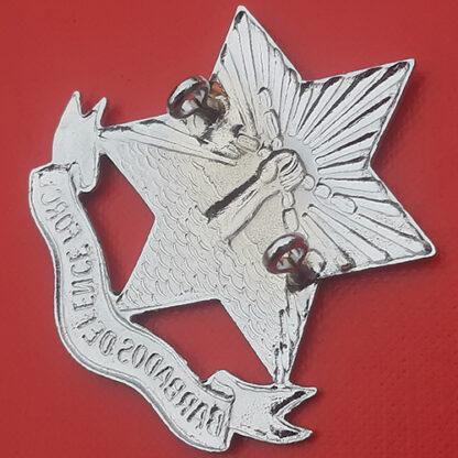 The Barbados Defence Force - Chromed Cap Badge. - Image 2