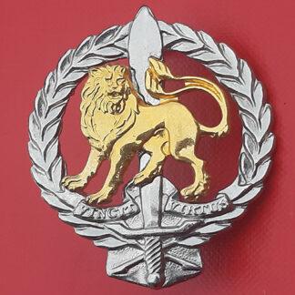 (South Africa) South Africa Regiment Hillcrest - Bi Metal Cap Badge.