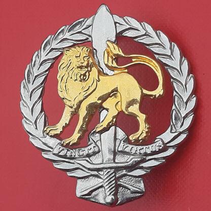 (South Africa) South Africa Regiment Hillcrest - Bi Metal Cap Badge.
