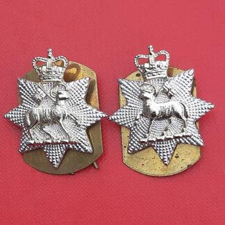 The Queen's Royal Surrey Regiment - Gold & Silver Anodised Collar Badges.