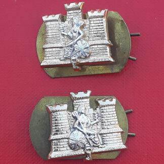 1st Battalion The Royal Anglian Regiment - Gold & Silver Anodised Collar Badges.
