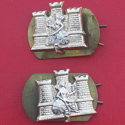 1st Battalion The Royal Anglian Regiment - Gold & Silver Anodised Collar Badges.