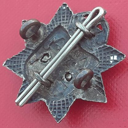 The East Surrey Regiment - Bi  Metal Collar Badge. - Image 2