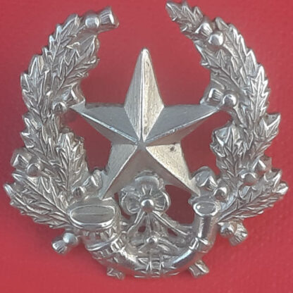 7th Lanarkshire Rifle Volunteers - White Metal Collar Badge.