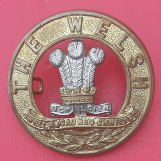 The Welsh Regiment - Bi Metal Helmet Plate Centre.