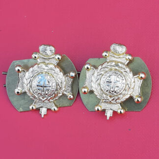 The Royal Sussex Regiment - Gold Anodised Collar Badges.